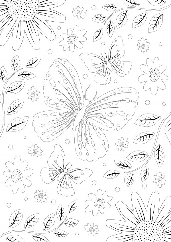 clipper butterfly colouring sheet