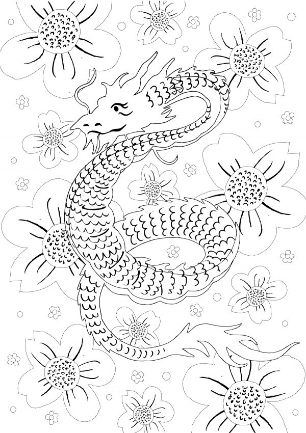 clipper Dragon colouring sheet